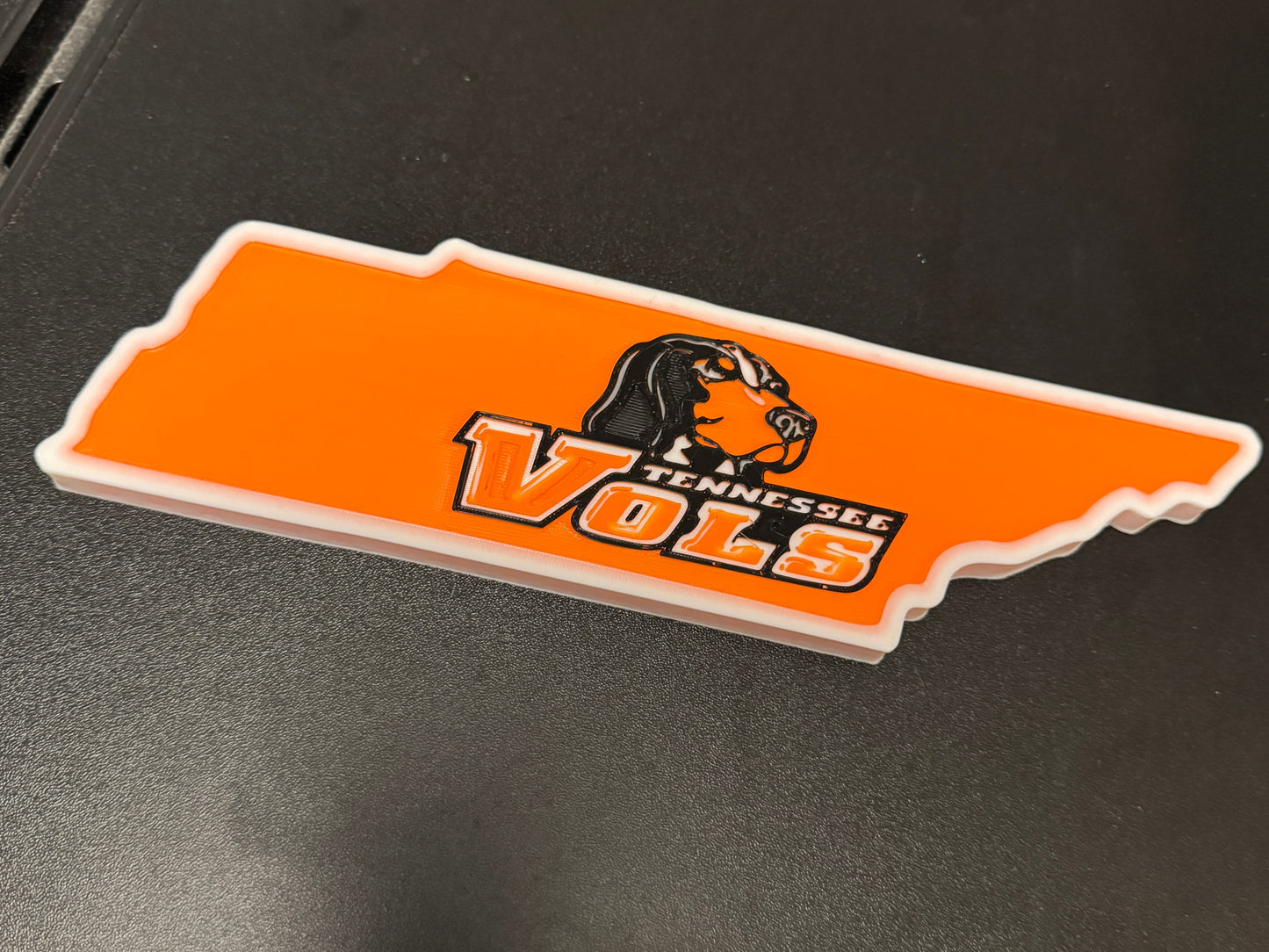 Tennessee Volunteers 3D Printed Plaque